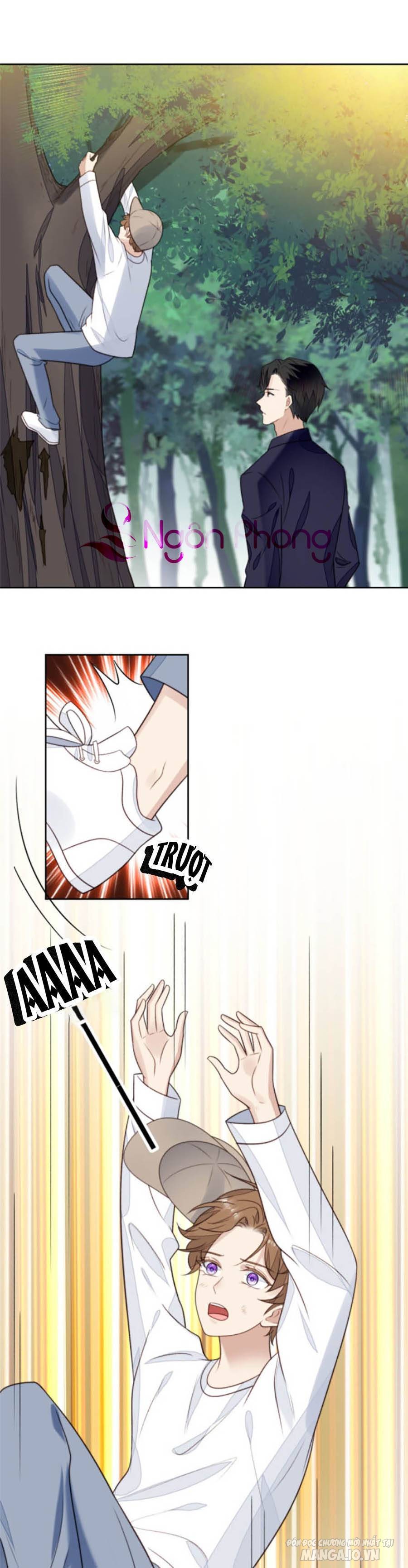 Lưng Dựa Núi Lớn Đứng Vững C Vị Chapter 34 - Trang 2