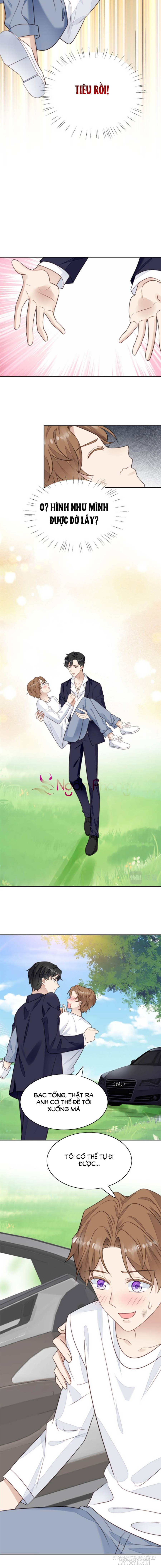 Lưng Dựa Núi Lớn Đứng Vững C Vị Chapter 34 - Trang 2