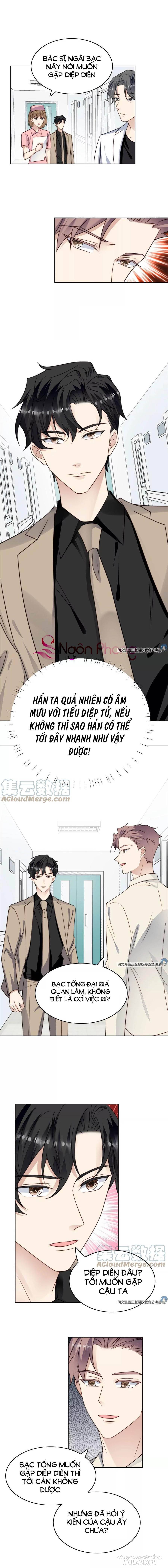 Lưng Dựa Núi Lớn Đứng Vững C Vị Chapter 46 - Trang 2