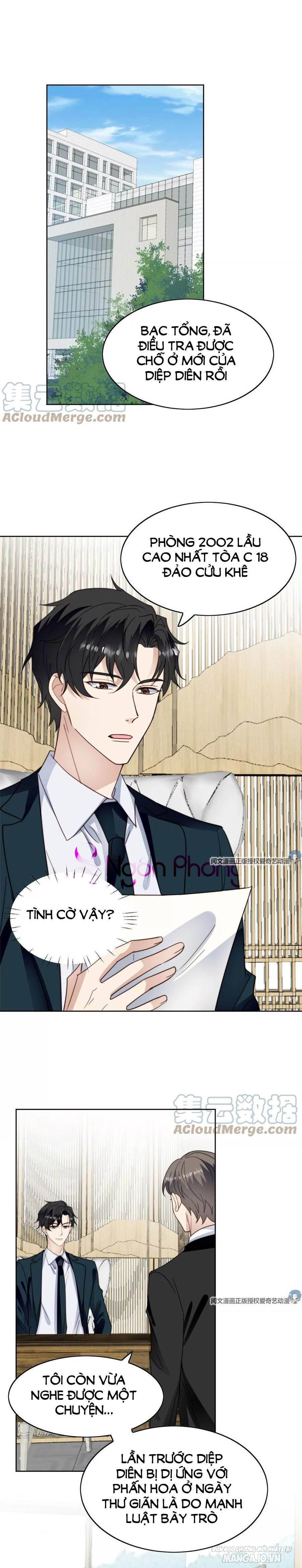 Lưng Dựa Núi Lớn Đứng Vững C Vị Chapter 55 - Trang 2