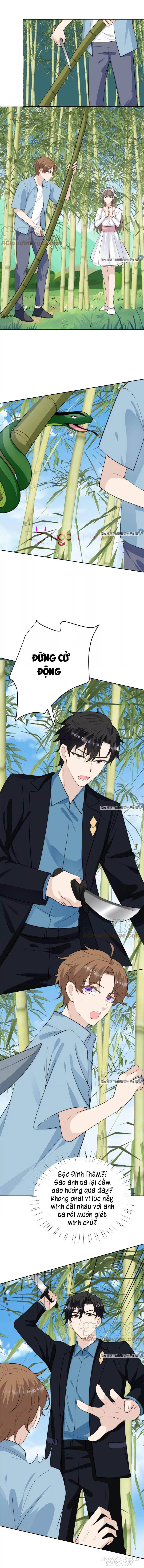 Lưng Dựa Núi Lớn Đứng Vững C Vị Chapter 58 - Trang 2