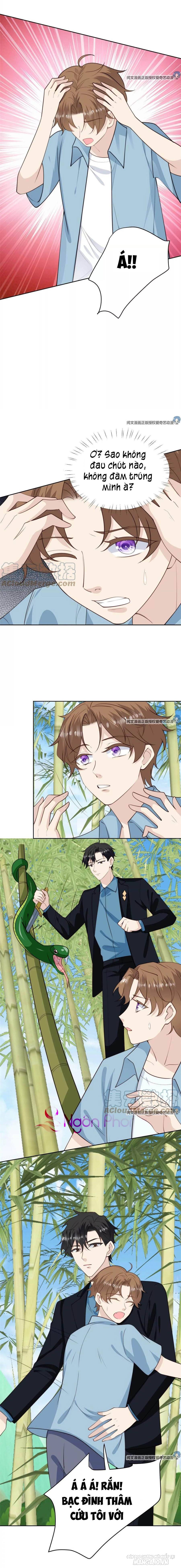 Lưng Dựa Núi Lớn Đứng Vững C Vị Chapter 58 - Trang 2