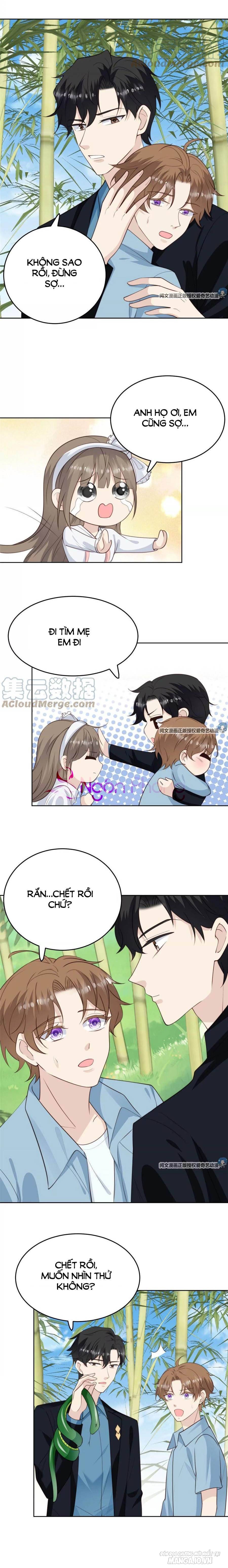 Lưng Dựa Núi Lớn Đứng Vững C Vị Chapter 58 - Trang 2