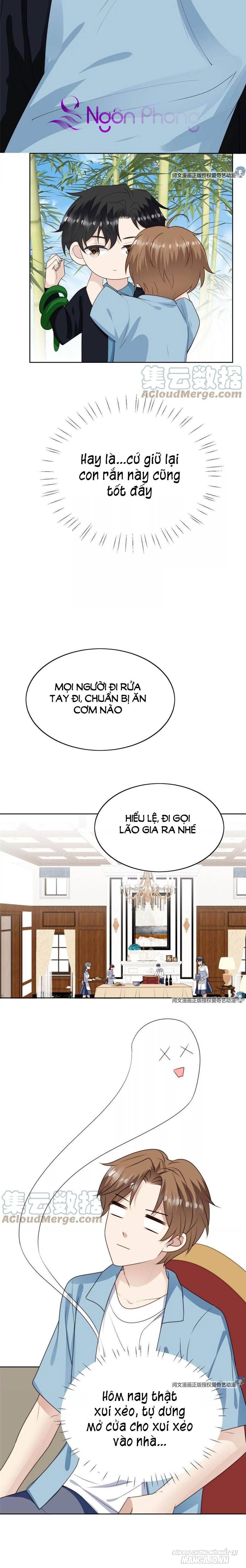 Lưng Dựa Núi Lớn Đứng Vững C Vị Chapter 58 - Trang 2