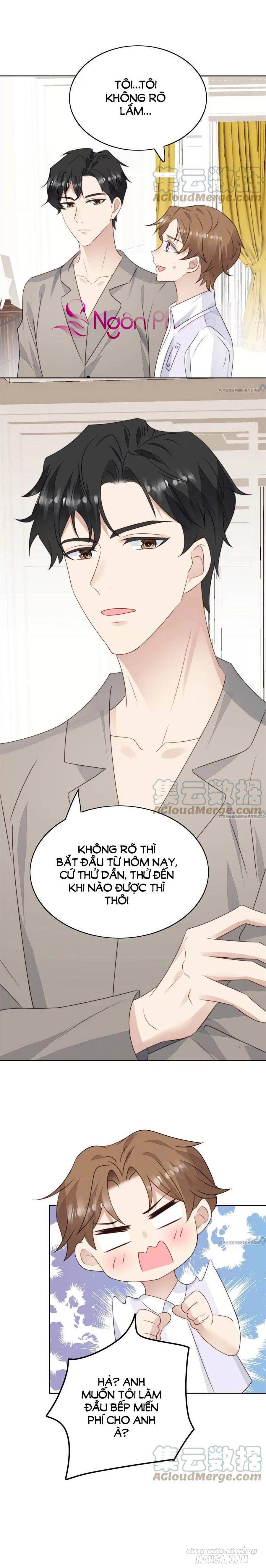 Lưng Dựa Núi Lớn Đứng Vững C Vị Chapter 61 - Trang 2