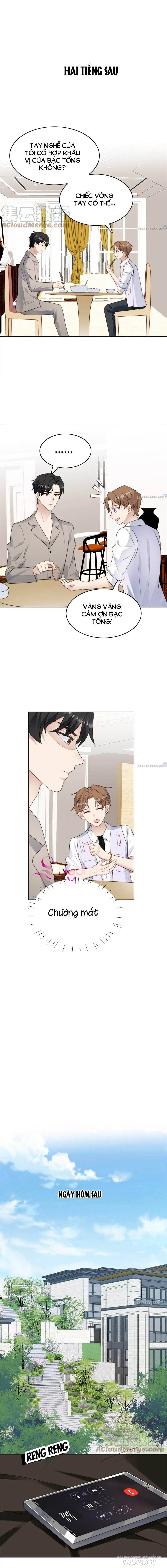 Lưng Dựa Núi Lớn Đứng Vững C Vị Chapter 61 - Trang 2