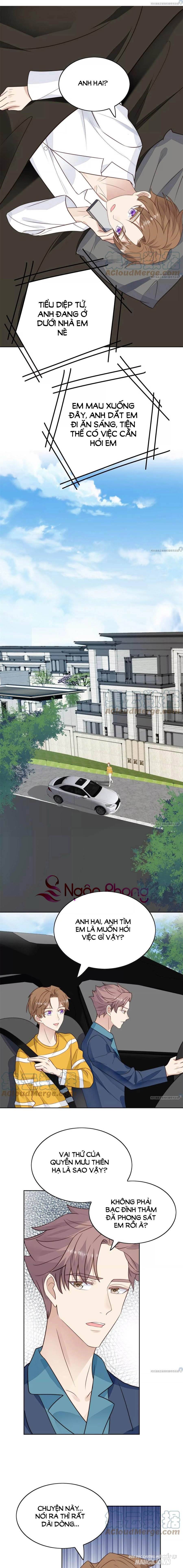 Lưng Dựa Núi Lớn Đứng Vững C Vị Chapter 61 - Trang 2