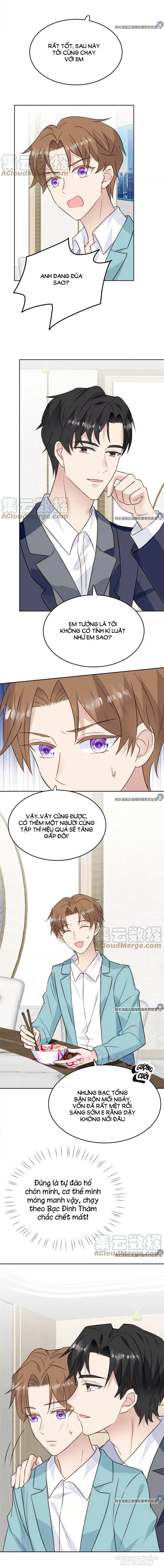 Lưng Dựa Núi Lớn Đứng Vững C Vị Chapter 64 - Trang 2