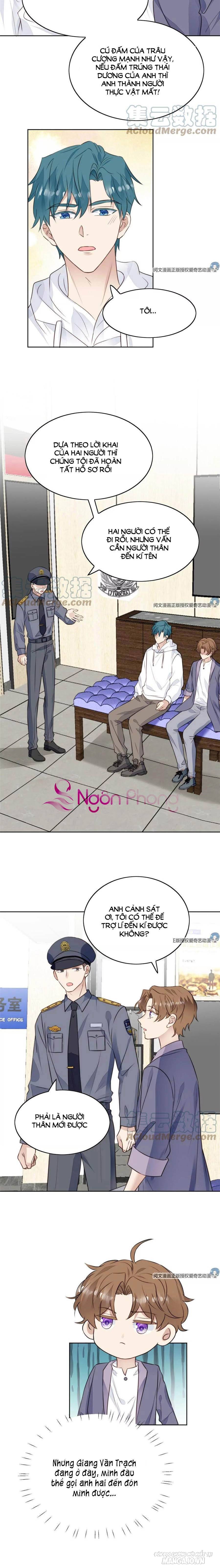 Lưng Dựa Núi Lớn Đứng Vững C Vị Chapter 66 - Trang 2