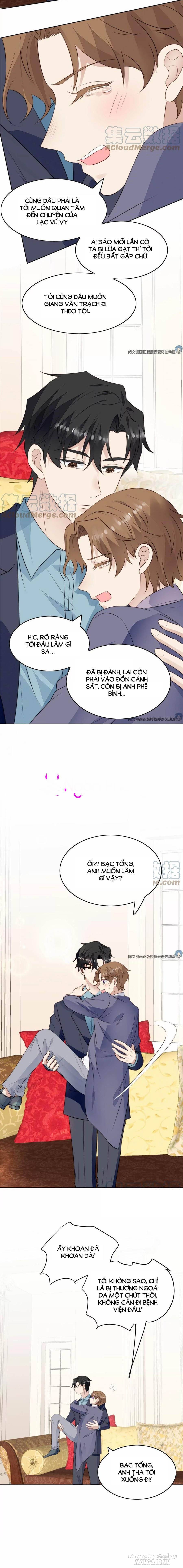 Lưng Dựa Núi Lớn Đứng Vững C Vị Chapter 67 - Trang 2