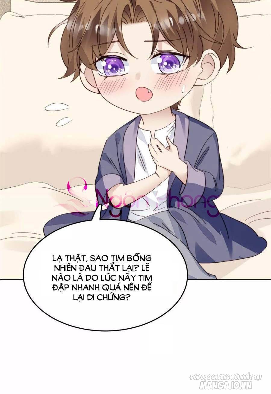 Lưng Dựa Núi Lớn Đứng Vững C Vị Chapter 68 - Trang 2