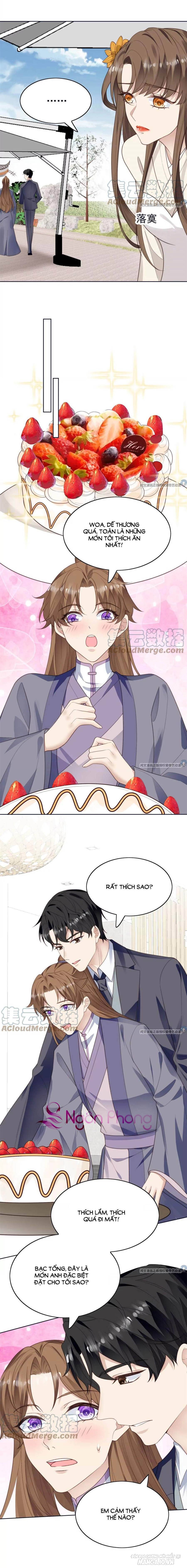 Lưng Dựa Núi Lớn Đứng Vững C Vị Chapter 70 - Trang 2