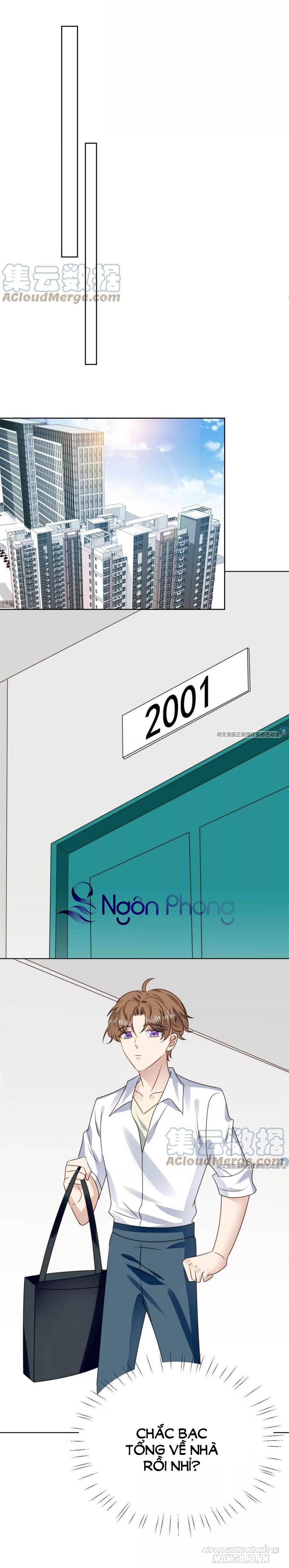 Lưng Dựa Núi Lớn Đứng Vững C Vị Chapter 71 - Trang 2