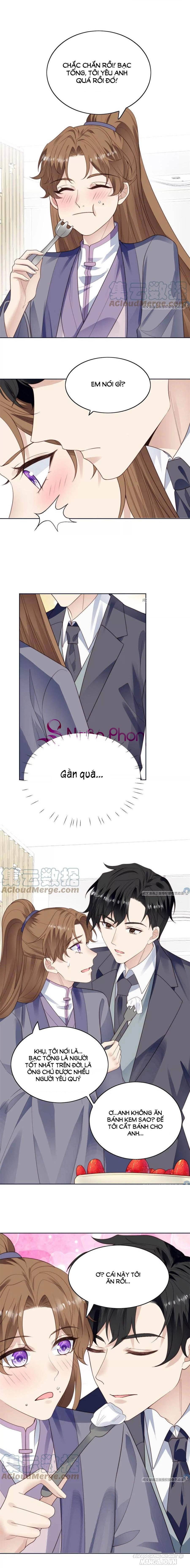 Lưng Dựa Núi Lớn Đứng Vững C Vị Chapter 71 - Trang 2