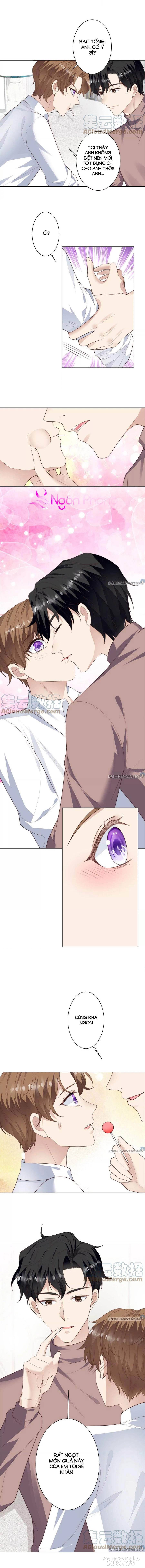 Lưng Dựa Núi Lớn Đứng Vững C Vị Chapter 73 - Trang 2