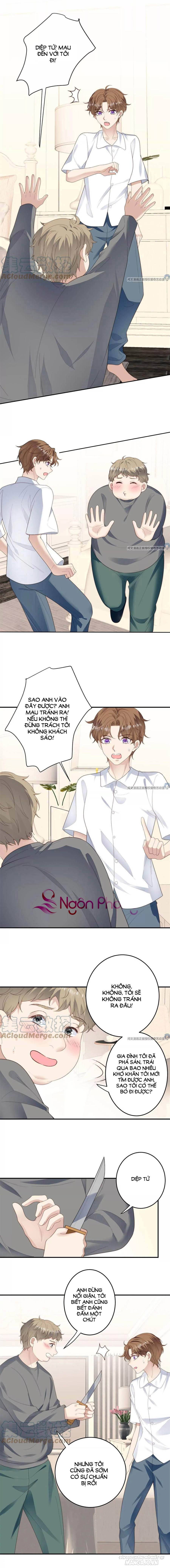 Lưng Dựa Núi Lớn Đứng Vững C Vị Chapter 73 - Trang 2