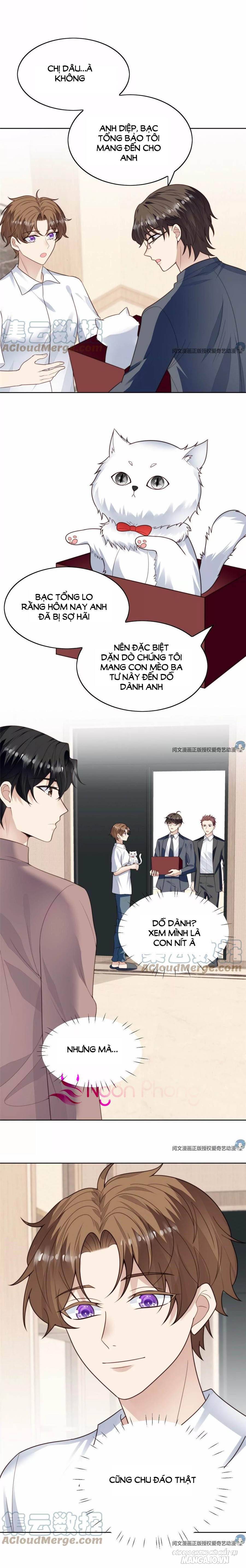 Lưng Dựa Núi Lớn Đứng Vững C Vị Chapter 75 - Trang 2