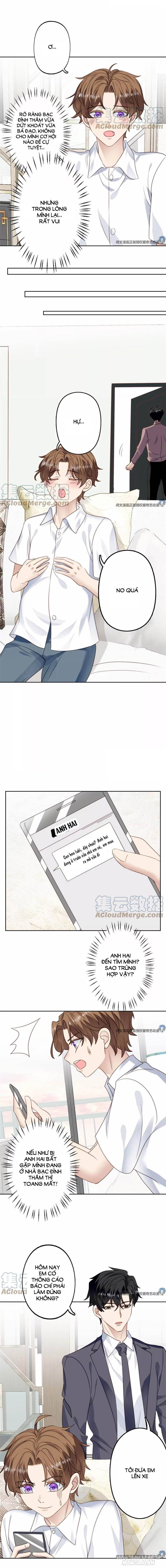 Lưng Dựa Núi Lớn Đứng Vững C Vị Chapter 77 - Trang 2