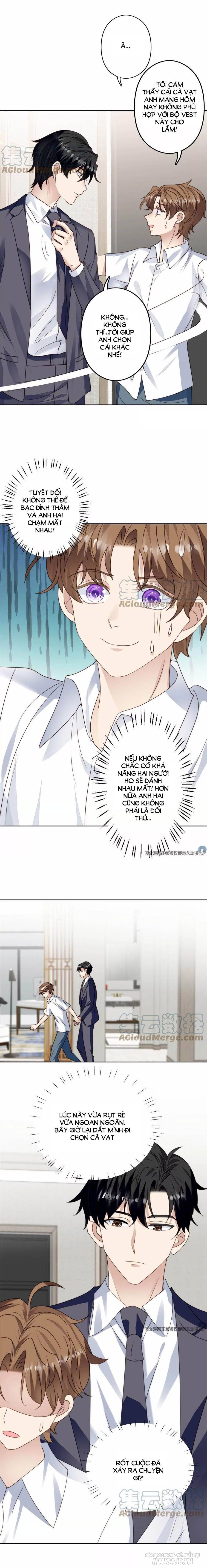 Lưng Dựa Núi Lớn Đứng Vững C Vị Chapter 77 - Trang 2