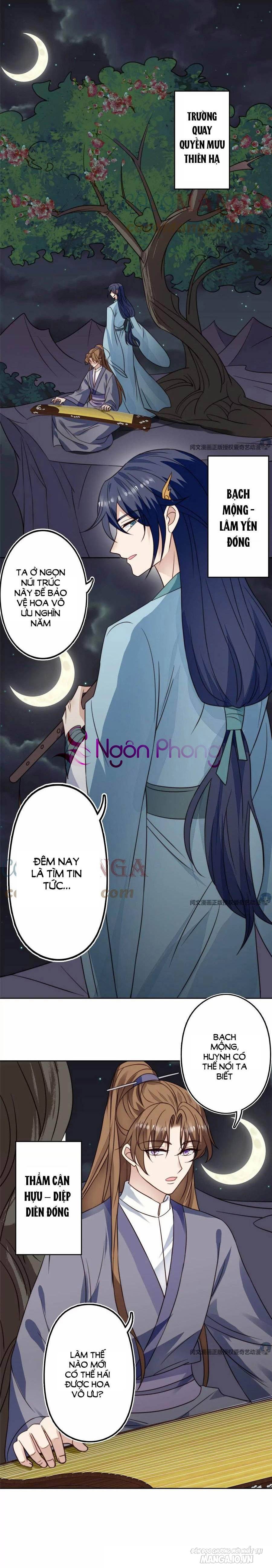 Lưng Dựa Núi Lớn Đứng Vững C Vị Chapter 79 - Trang 2