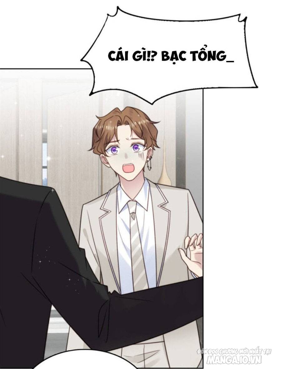 Lưng Dựa Núi Lớn Đứng Vững C Vị Chapter 8 - Trang 2