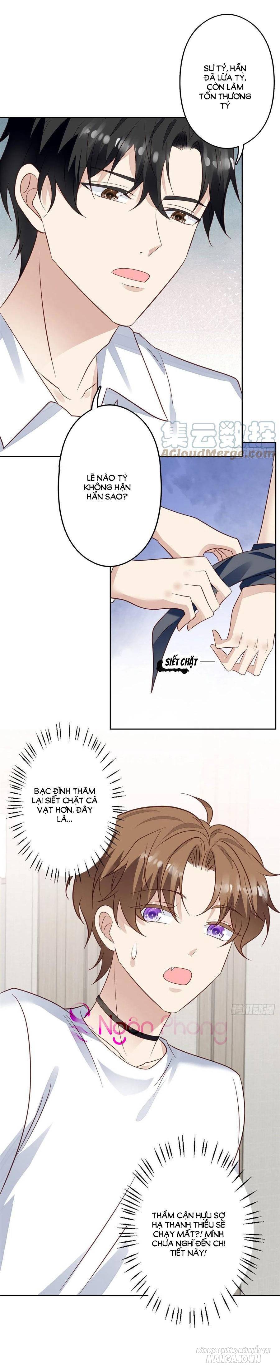 Lưng Dựa Núi Lớn Đứng Vững C Vị Chapter 93 - Trang 2