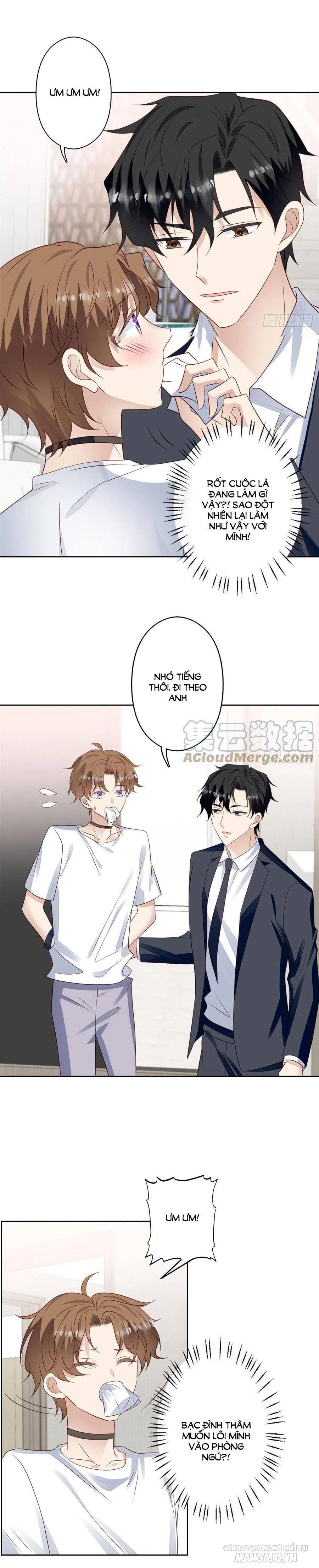 Lưng Dựa Núi Lớn Đứng Vững C Vị Chapter 93 - Trang 2