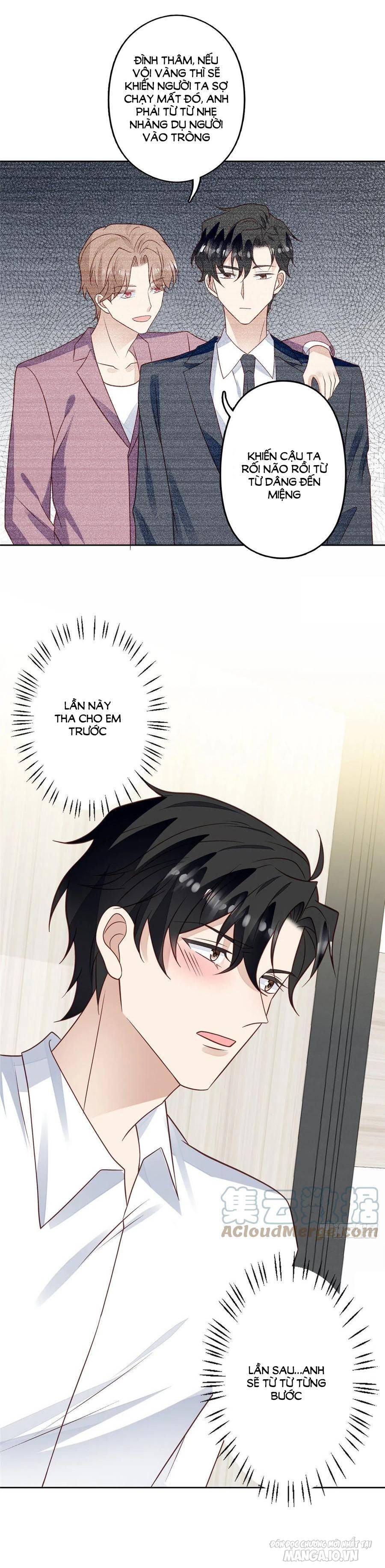 Lưng Dựa Núi Lớn Đứng Vững C Vị Chapter 95 - Trang 2