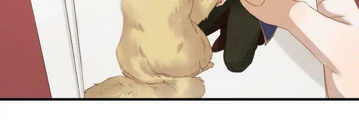 Lượm Được Một Tiểu Hồ Ly 3 Chapter 78 - Trang 2