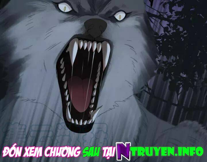 Lượm Được Một Tiểu Hồ Ly 3 Chapter 98 - Trang 2