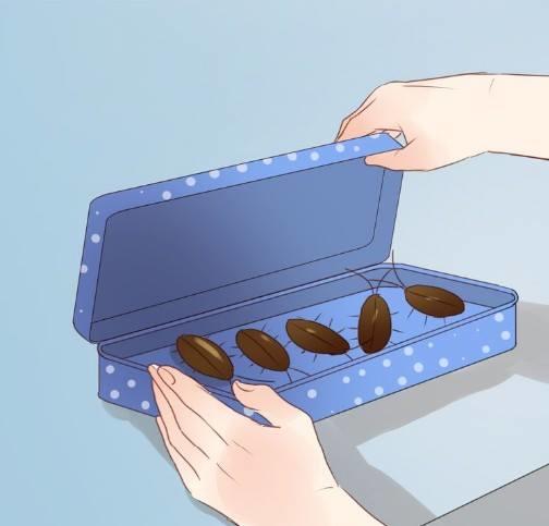 Lượm Được Một Tiểu Hồ Ly Chapter 10 - Trang 2