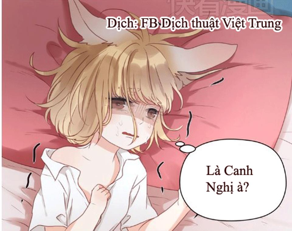 Lượm Được Một Tiểu Hồ Ly Chapter 16 - Trang 2