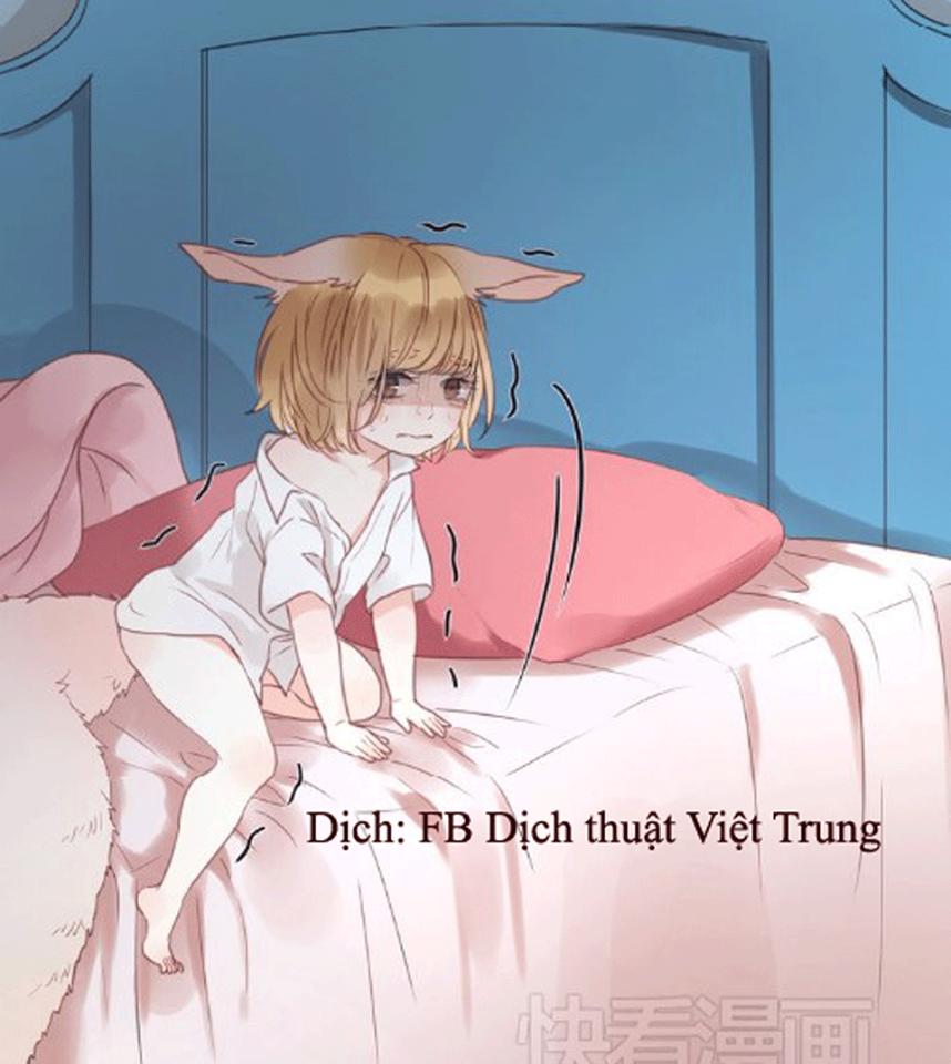 Lượm Được Một Tiểu Hồ Ly Chapter 16 - Trang 2