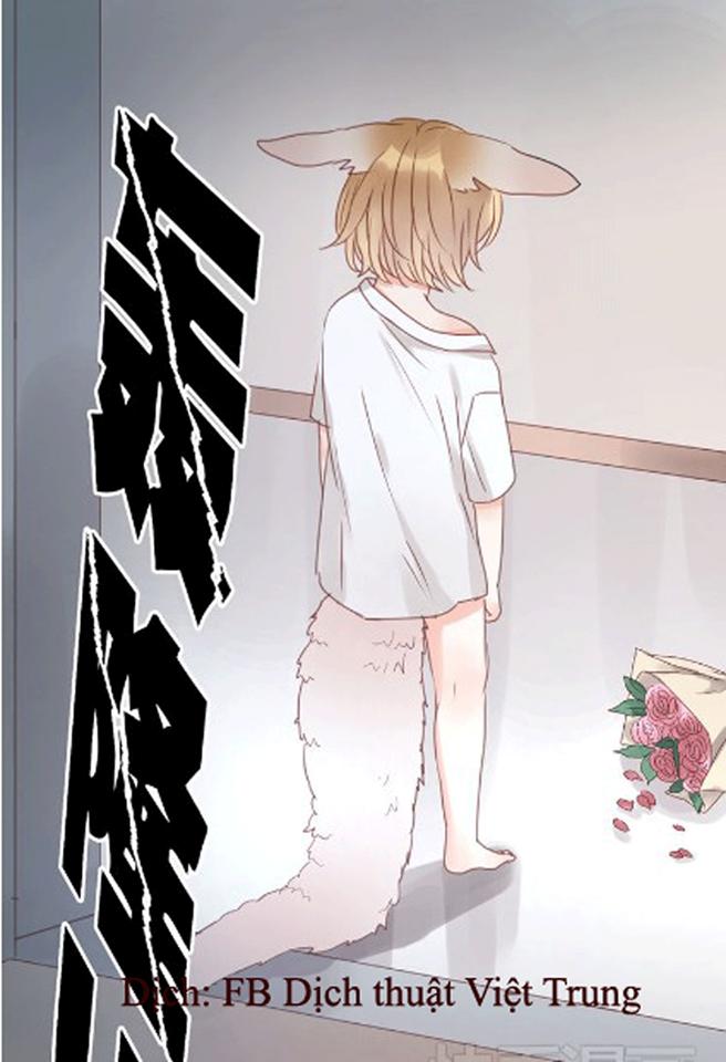 Lượm Được Một Tiểu Hồ Ly Chapter 16 - Trang 2