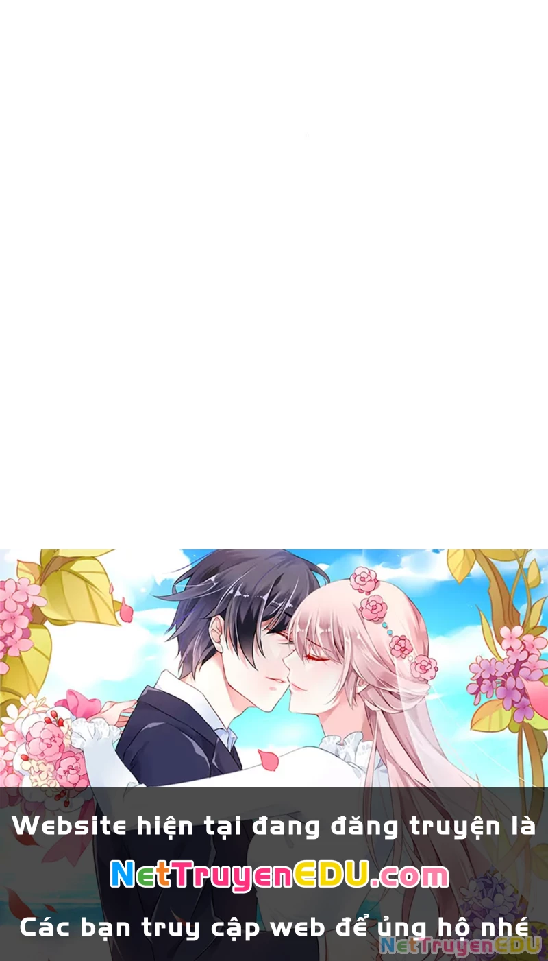 Lv 1 Bất Khả Chiến Bại Chapter 15 - Trang 2