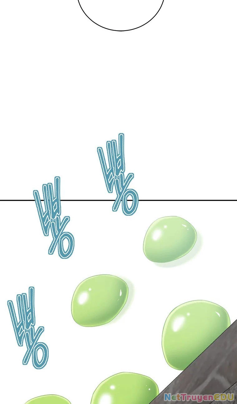 Lv 1 Bất Khả Chiến Bại Chapter 8 - Trang 2