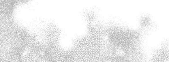 Ly Hôn Thì Dễ, Yêu Đương Mới Khó Chapter 18.2 - Trang 2