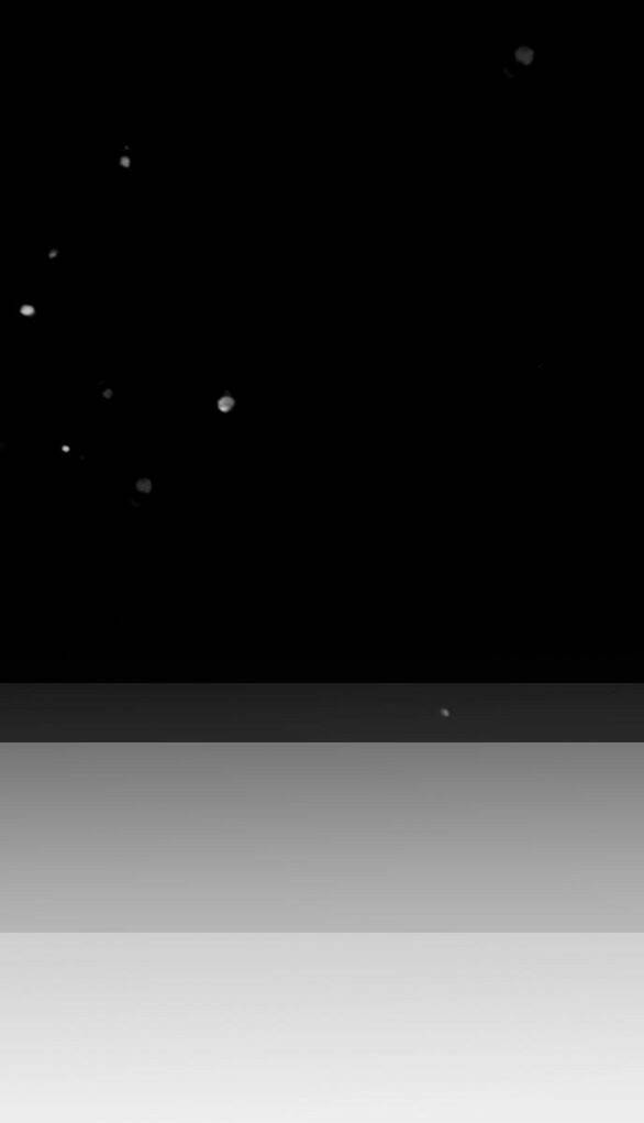 Ly Hôn Thì Dễ, Yêu Đương Mới Khó Chapter 7.2 - Trang 2