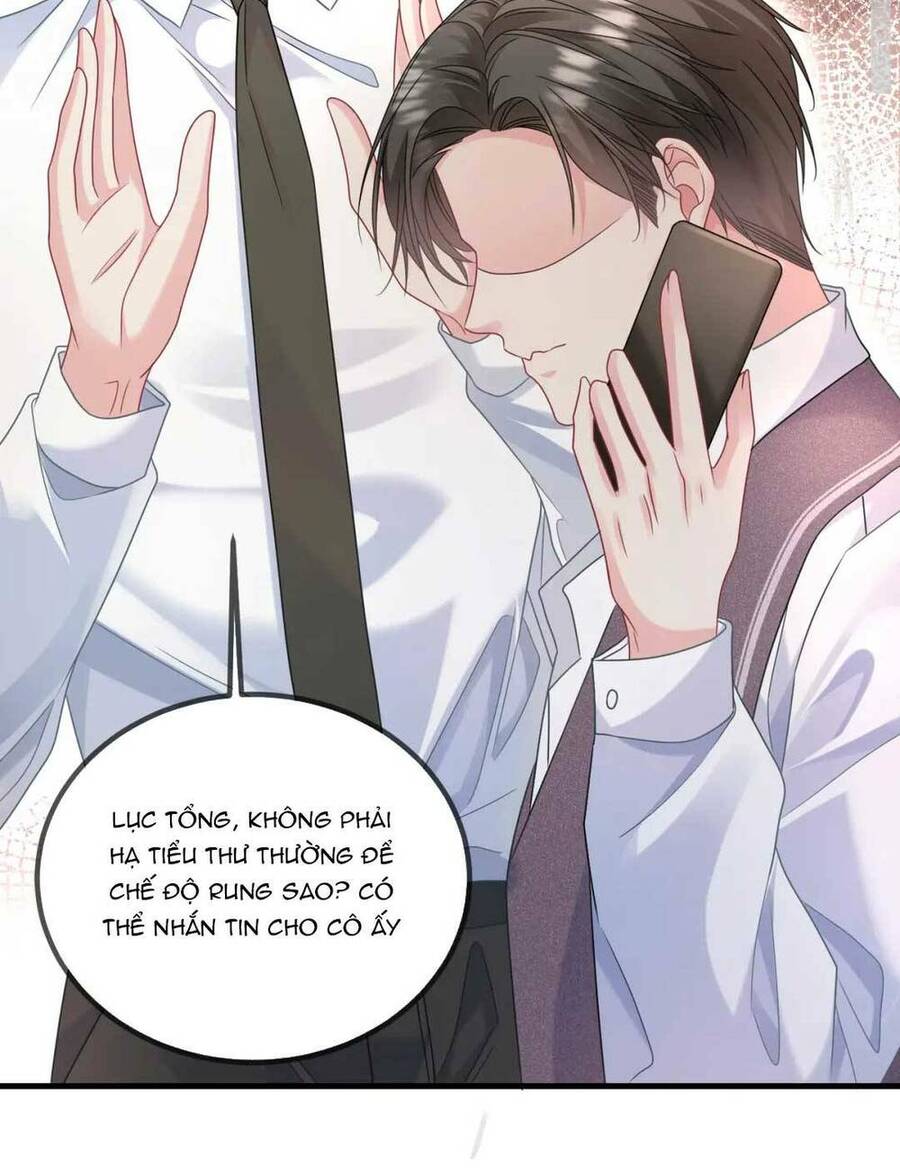 Ly Hôn Xong , Tôi Quay Về Vả Mặt Chồng Cũ Chapter 13 - Trang 2