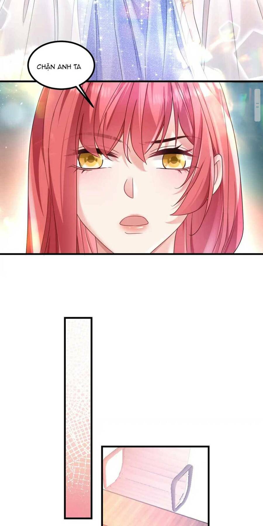 Ly Hôn Xong , Tôi Quay Về Vả Mặt Chồng Cũ Chapter 13 - Trang 2