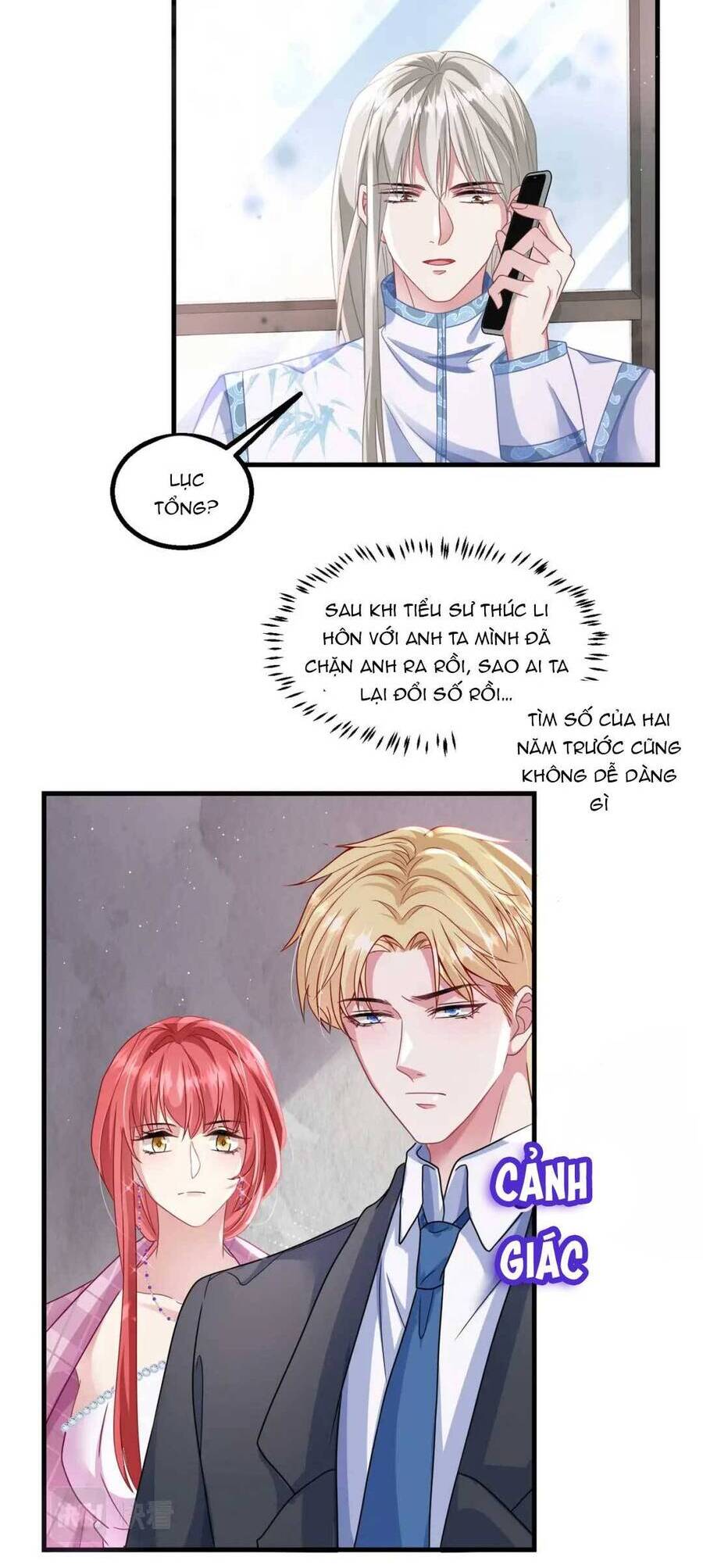 Ly Hôn Xong , Tôi Quay Về Vả Mặt Chồng Cũ Chapter 21 - Trang 2