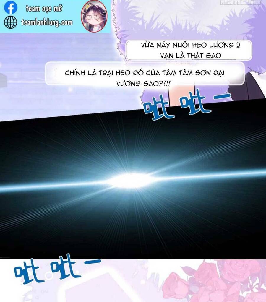 Ly Hôn Xong , Tôi Quay Về Vả Mặt Chồng Cũ Chapter 3 - Trang 2