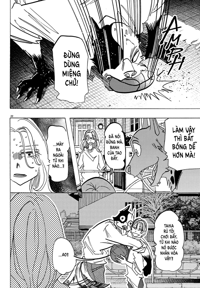 Lý Trí Của Taika Chapter 2 - Trang 2