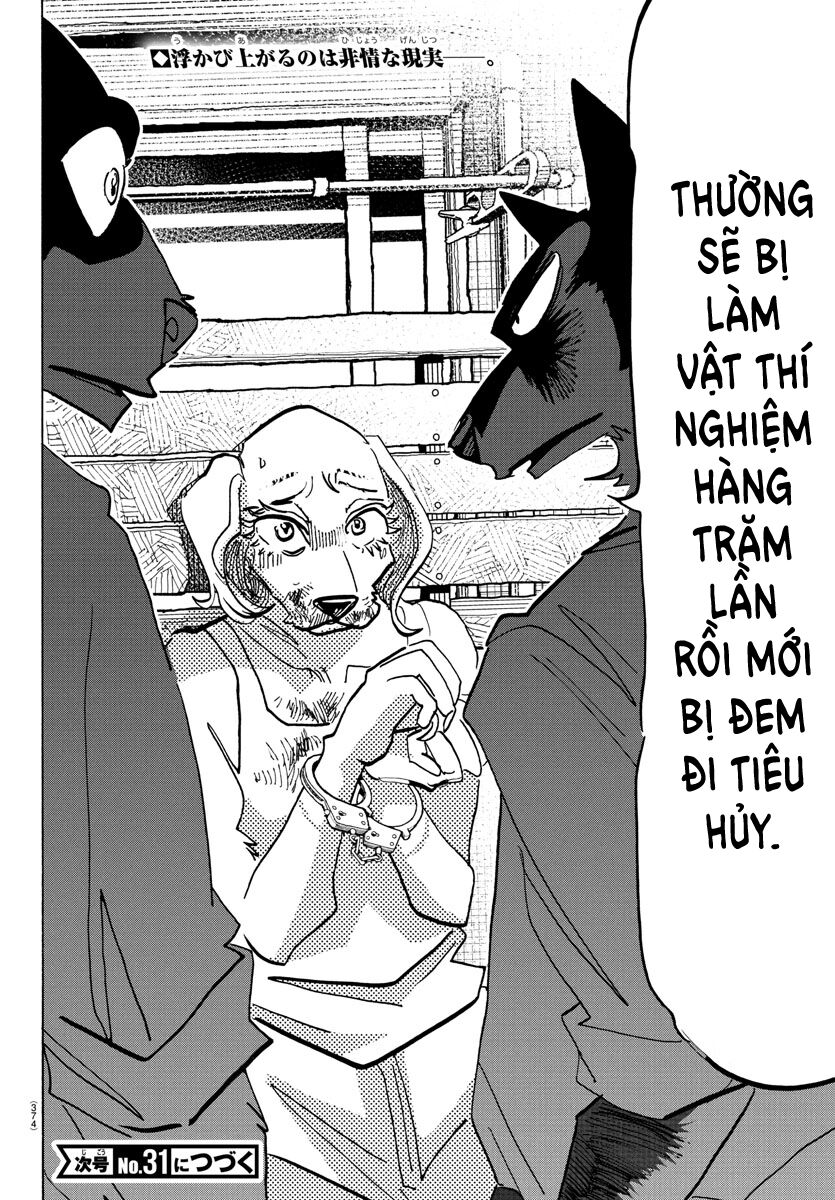 Lý Trí Của Taika Chapter 23 - Trang 2