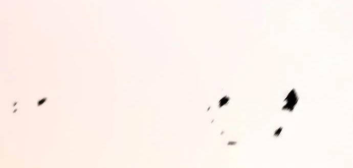 Ma Đạo Chuyển Sinh Ký Chapter 73 - Trang 2