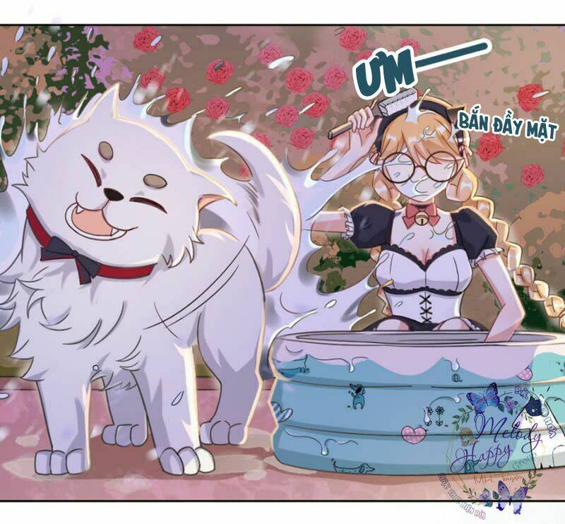 Ma Lạt Thiên Kim Đẩu Ác Thiếu Chapter 11 - Trang 2