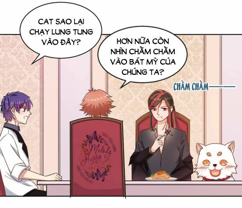 Ma Lạt Thiên Kim Đẩu Ác Thiếu Chapter 11 - Trang 2