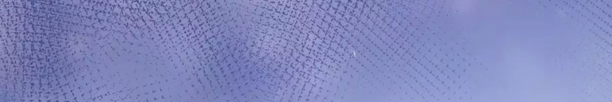 Ma Tôn Muốn Ôm Ôm Chapter 11.1 - Trang 2