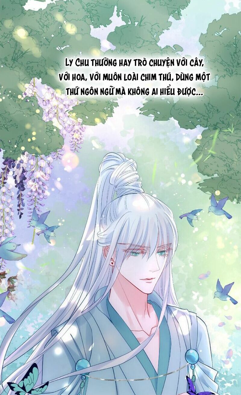 Ma Tôn Muốn Ôm Ôm Chapter 8 - Trang 2