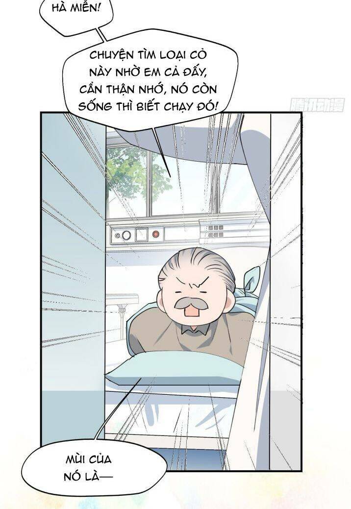 Ma Vương Đại Nhân Luôn Trêu Chọc Tôi Chapter 10 - Trang 2